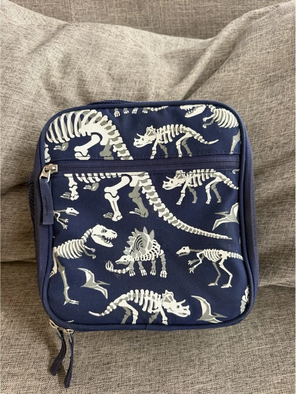Pottery Barn Kids Mackenzie Glow In The Dark Dino Bones Lunch Box Dinosaurs